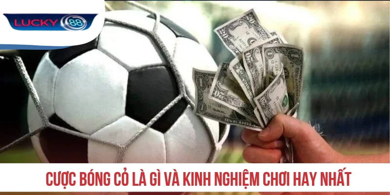 Cược bóng cỏ là gì và kinh nghiệm chơi hay nhất