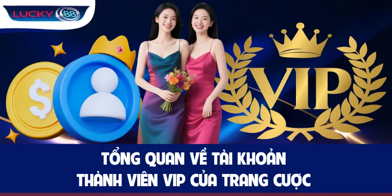 Tổng quan về tài khoản thành viên VIP của trang cược
