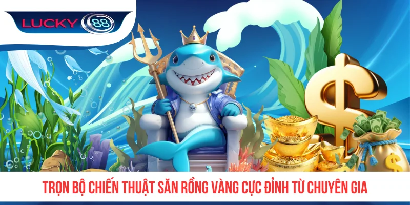 Trọn bộ chiến thuật săn rồng vàng cực đỉnh từ chuyên gia